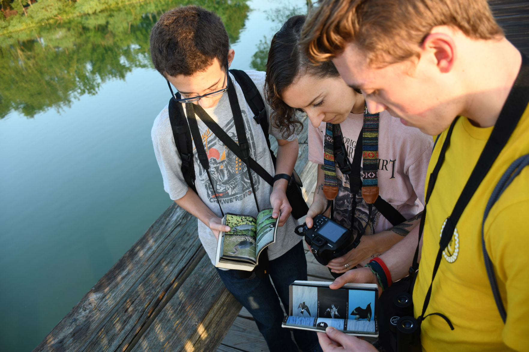Birding